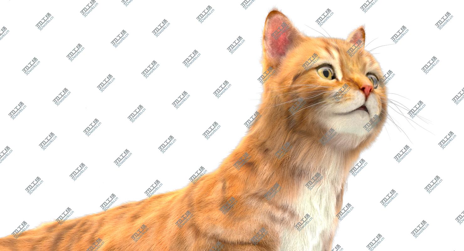 images/goods_img/2021040234/3D Yellow Cat (Fur) (Rigged)/5.jpg
